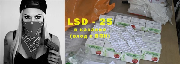 спайс Богданович