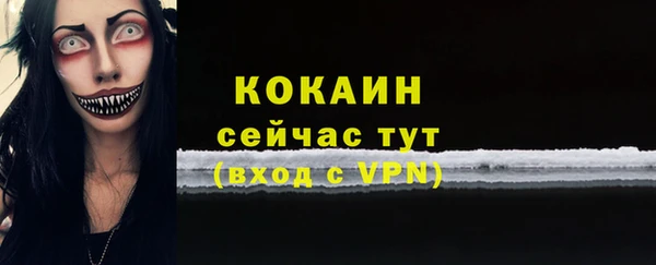 спайс Богданович