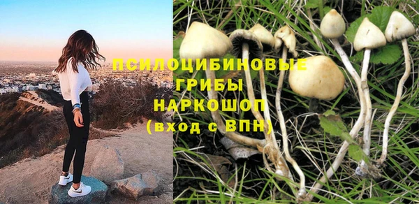 спайс Богданович